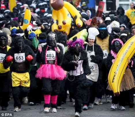 Great Gorilla Run 2015