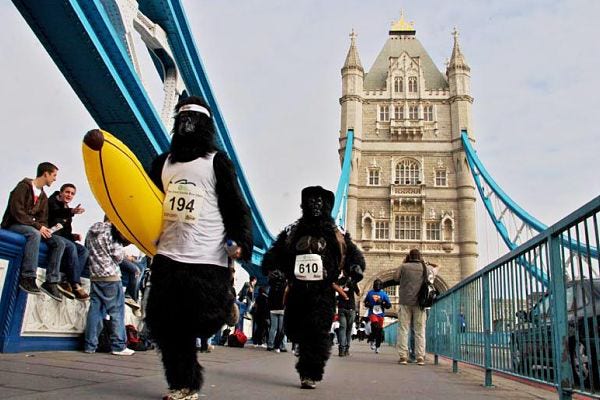 great gorilla run 2014