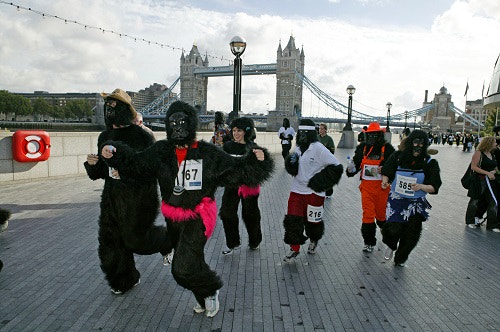 Great Gorilla Run